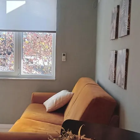 Fit Five Apartment *